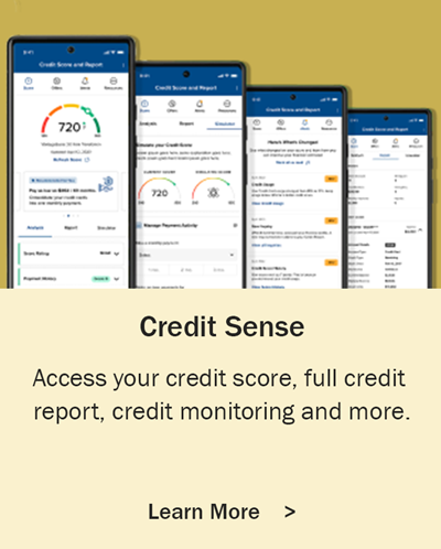 CreditSense-tile-(2).png